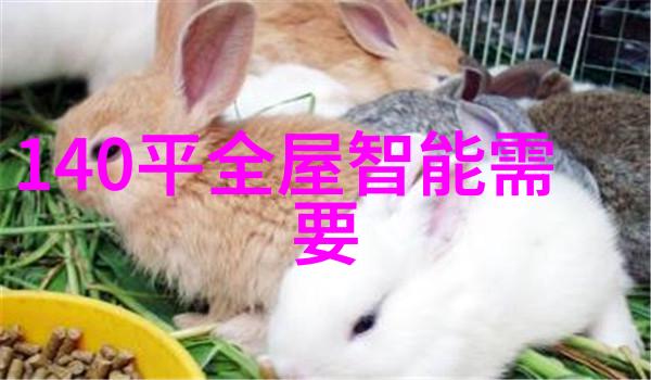 蒸汽之源小型蒸汽发生器的设计与应用