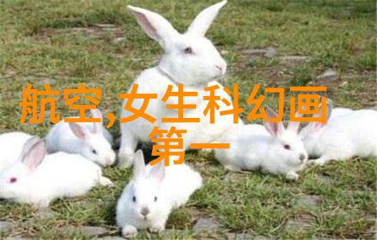 钢铁之城不锈钢生产厂家的传奇