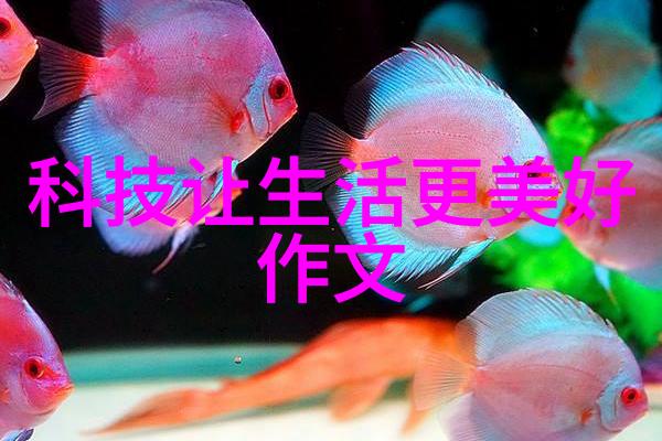 如何确保大型污水处理一体化设备的维护与管理工作高效进行