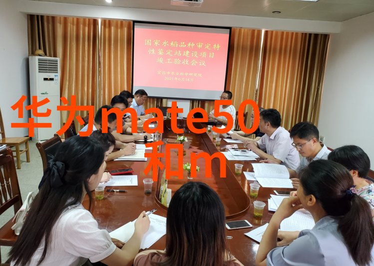 水位显示仪确保安全的实时水文监测系统