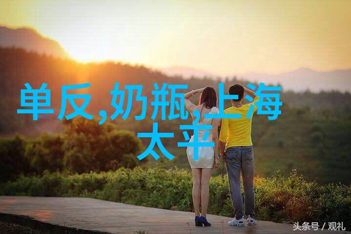 中国石油化工协会推动能源转型与绿色发展的引领者