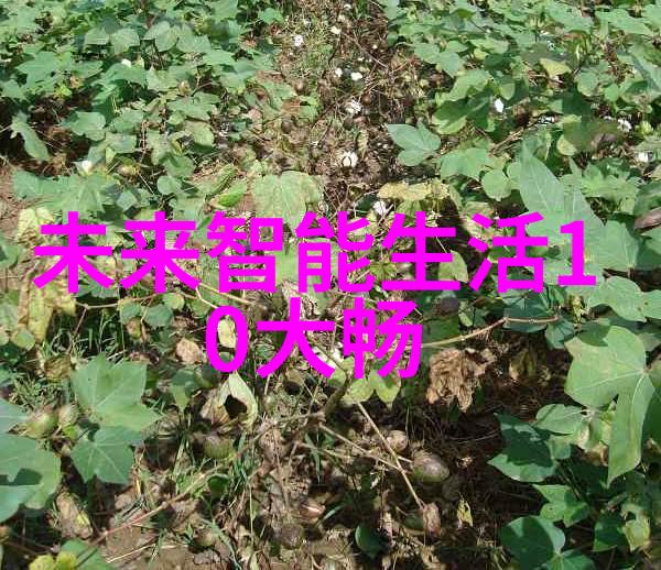 新房装修设计全攻略从空间规划到细节完美