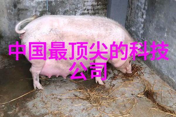 士官个人述职报告概述