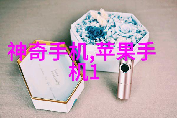 小型电热蒸汽发生器高效家用蒸汽清洁解决方案