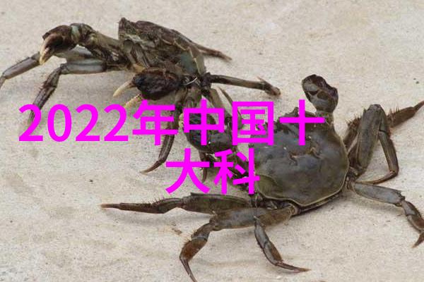 三步错层客厅装修艺术的完美呈现