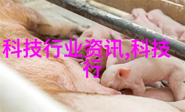 机器心脏混沌中的和谐