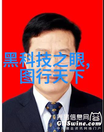 网络安全防火长城的守护者们