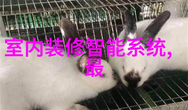 清洁之光紫外线杀菌设备的水处理奇迹
