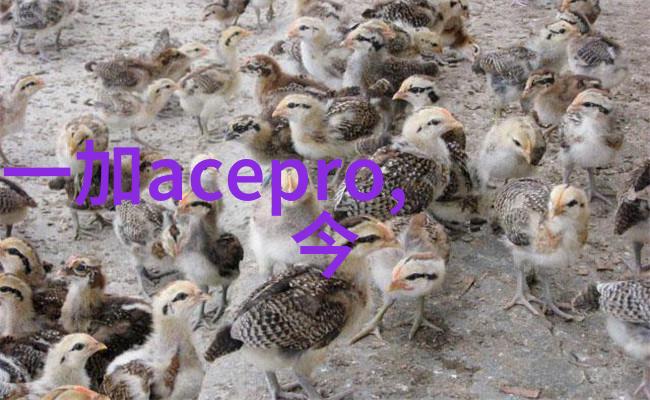 螺旋升腾螺旋式输送机的革命性运输解决方案