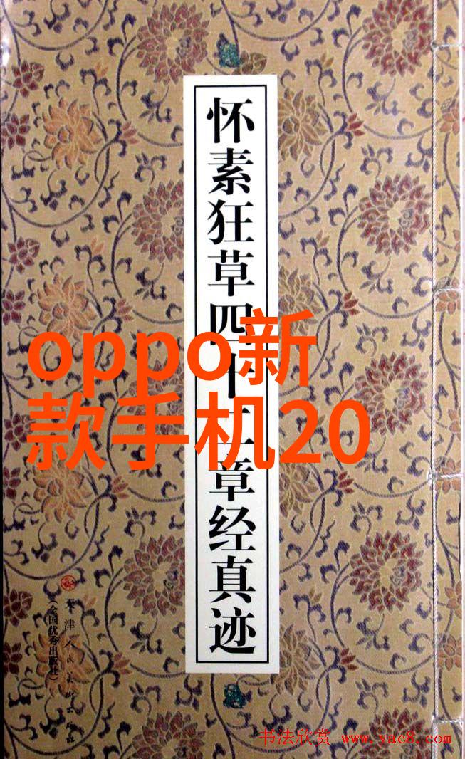 隐私守护者探索JEALOUSVUE熟睡APP的安全防护机制