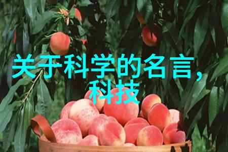 家装设计装修 - 精致生活从室内设计到完美装修的全方位指南