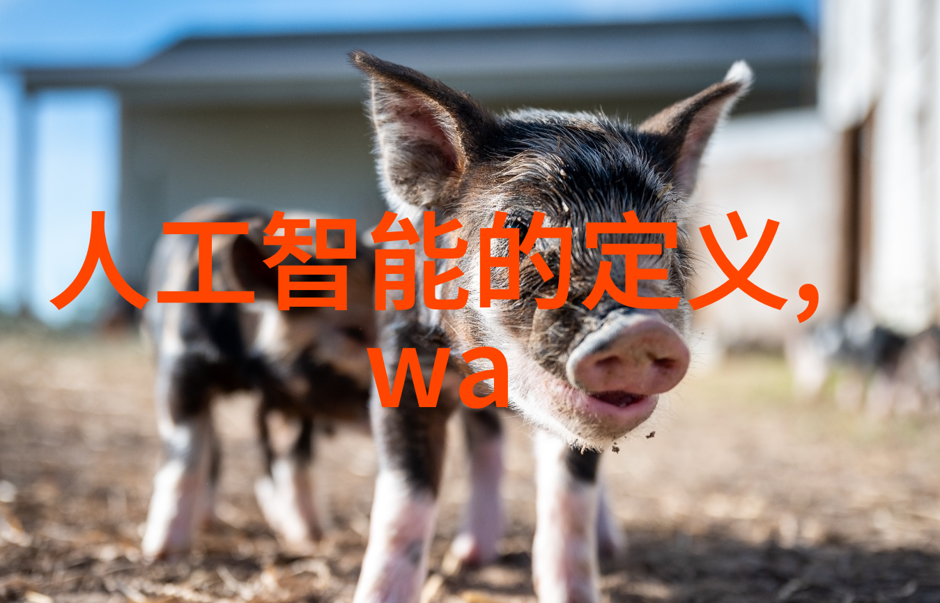 大气简约式客厅我家那块生活的角落从繁复到宁静的一场变革