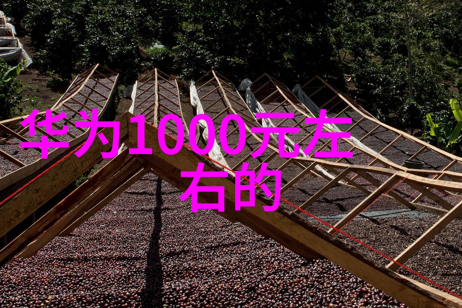 社区中心举办的大型集体水源质量检测活动介绍