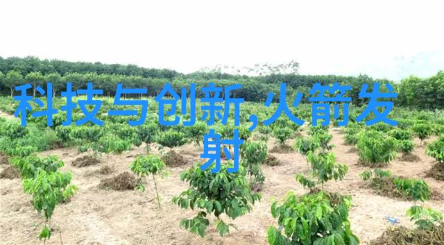 金融风云新浪财经的智慧指南