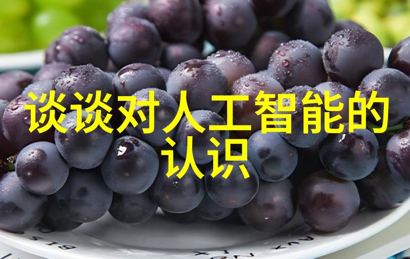 家居美学的新篇章探索装饰板材的艺术与实用