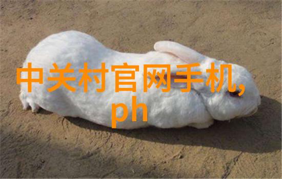 专业布袋除尘器布袋供应商确保清洁效率与环保标准的并行