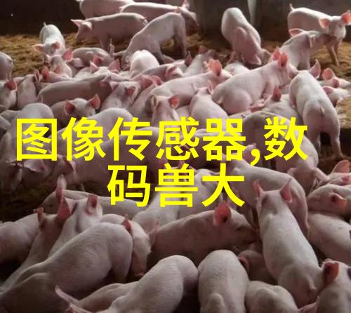 压力仪器的精确测量保证安全与高效的关键设备