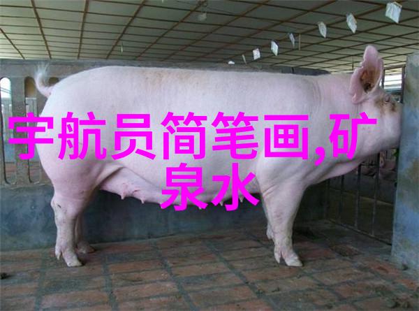 高效低能耗的褐煤干燥设备新时代能源转型的关键技术与解决方案