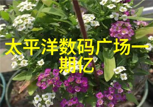 110水管价格-揭秘110水管安装费用标准了解全过程及预算规划