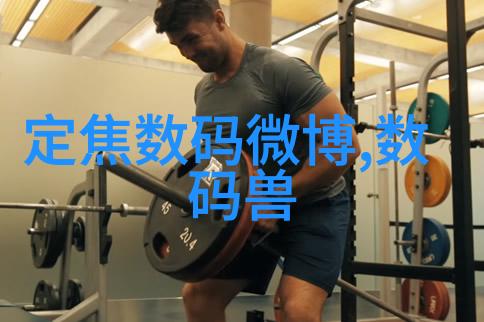 家居空间的新篇章家庭客厅装修效果图的艺术探索