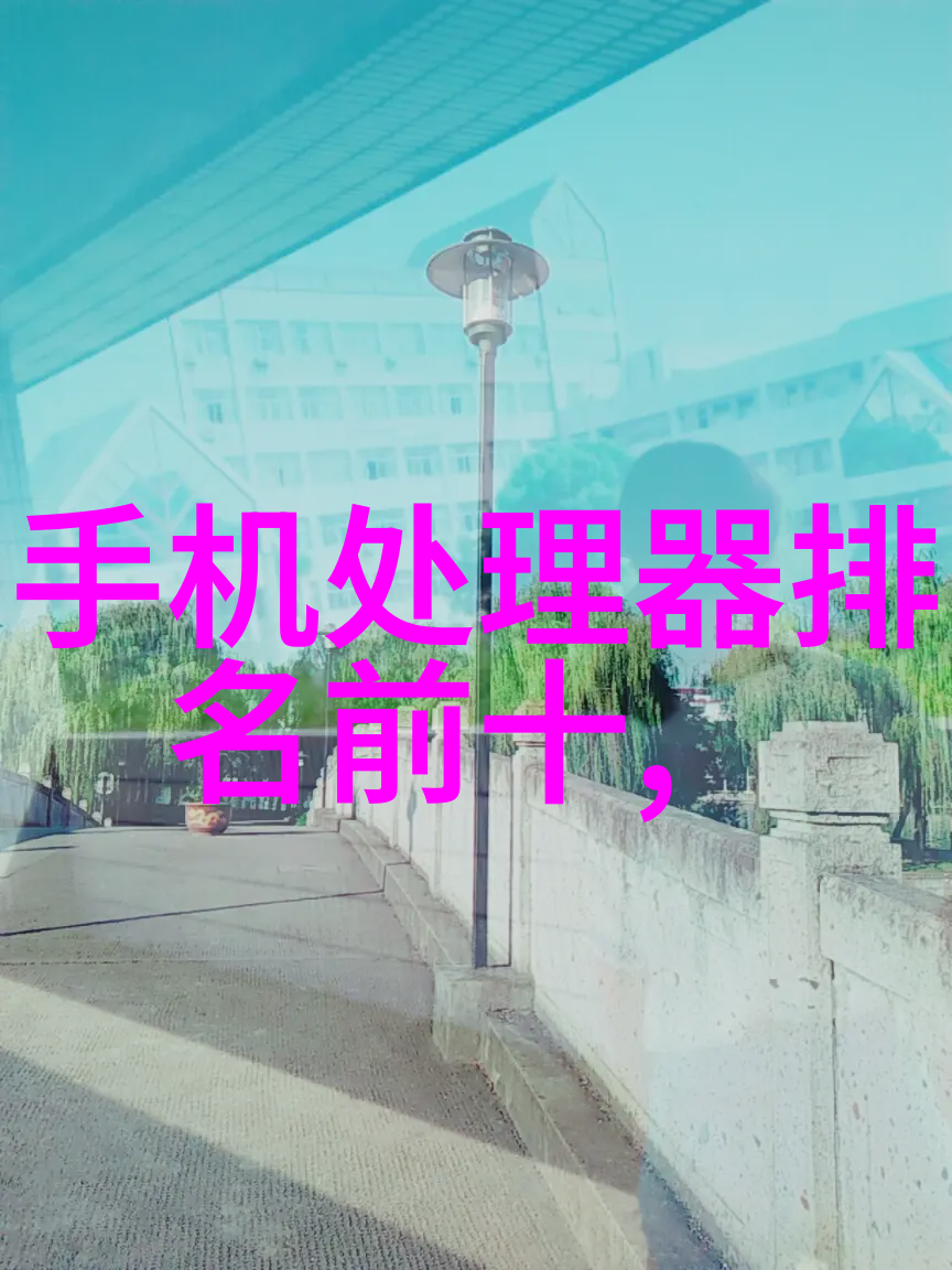 使用电热烤箱或专业的烤炉作为替代方案是否可行