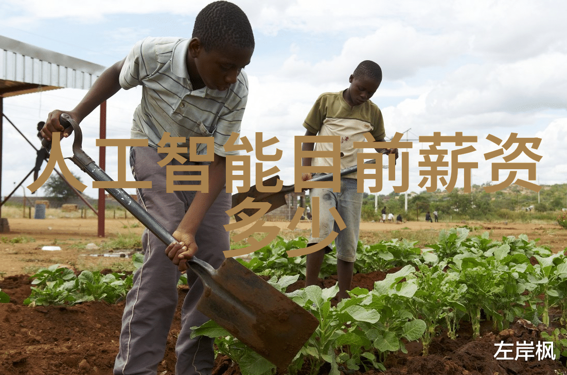 智能装备与系统就业岗位新时代的职业生态与技能转型研究