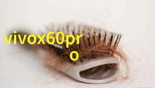 蜜桃之谜33种子成熟的秘密
