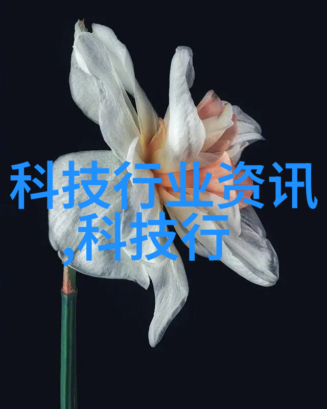 皇帝往下边塞玉器见客视频-边塞之谜探秘皇帝的玉器见客