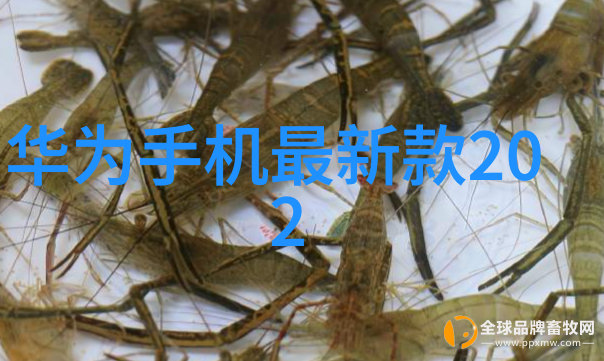 额尔古纳河右岸探索边疆的诗意与现实