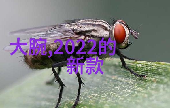 主题我是怎么遇到卫生级隔膜泵的