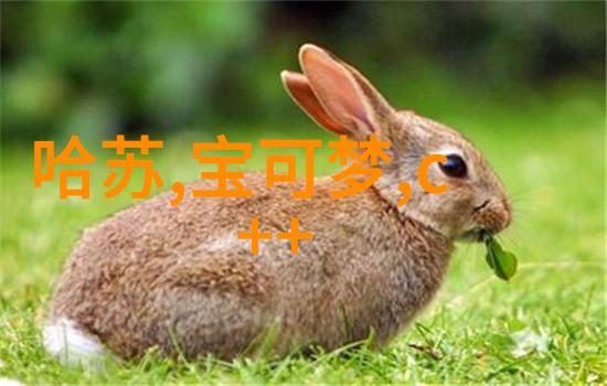 输送带的无缝运输系统革新