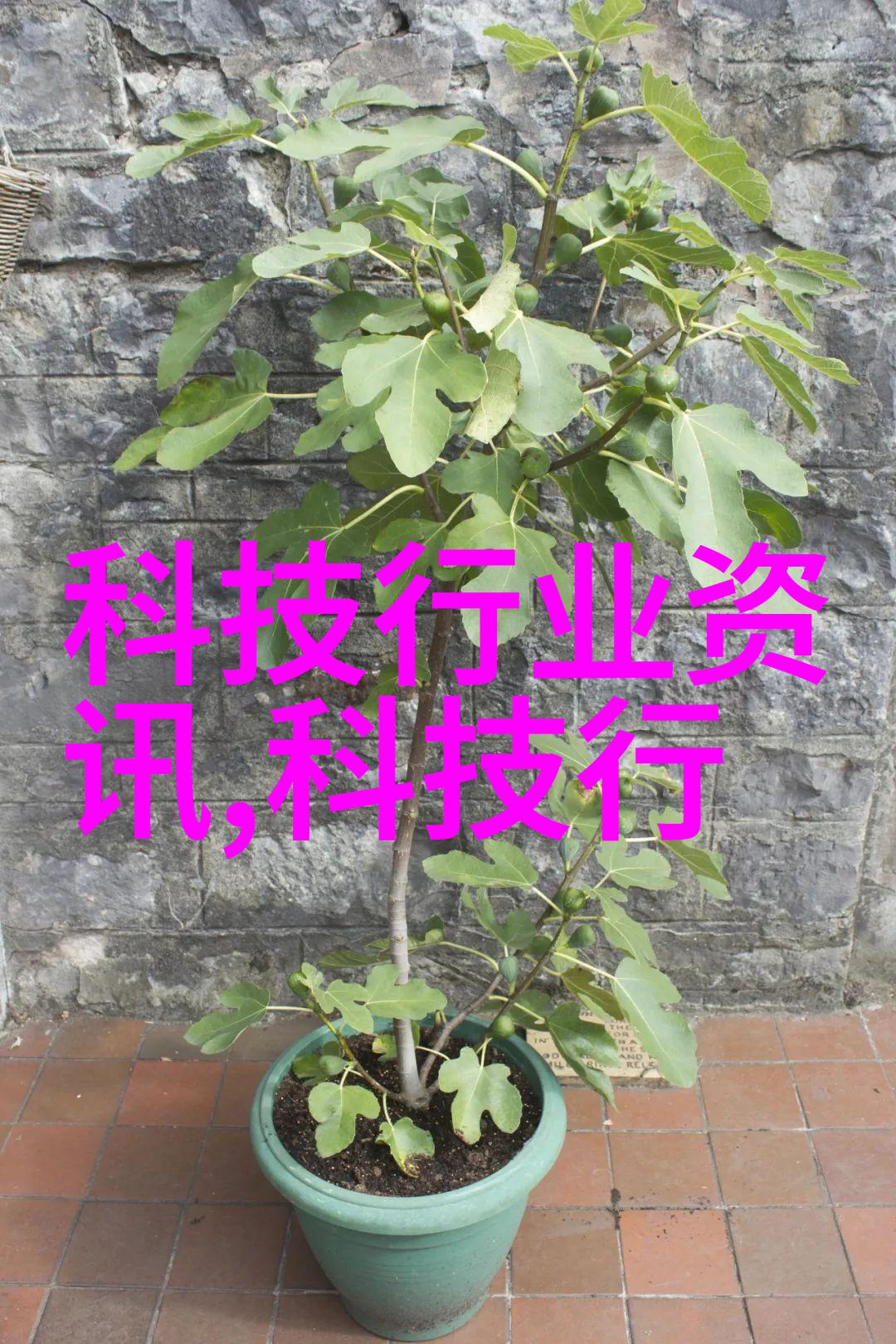 在安装新卫生泵时应考虑哪些因素来确保其正常运行