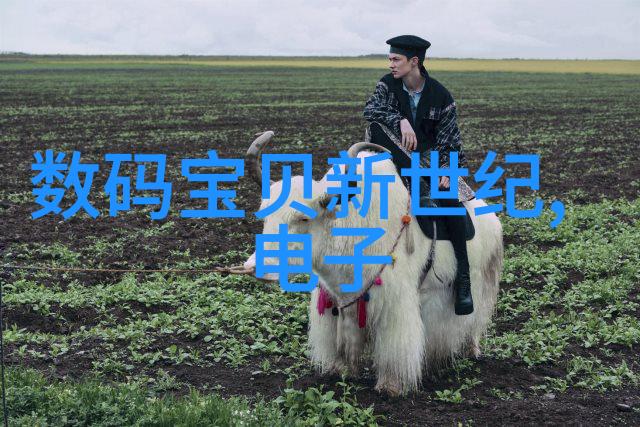 揭秘一二三四五类水质标准保障饮用水安全的五项关键指标