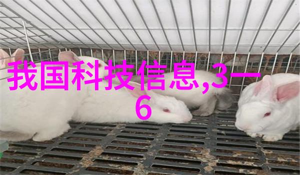 高效清洁系统探索连续灭菌设备的核心组成部分