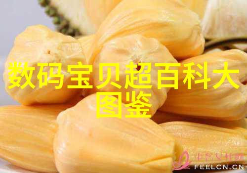 2023年最新装修风格效果图创意与实用并重的室内设计灵感