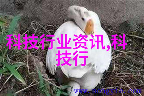 男生坤坤与女生坤坤的元帅之争