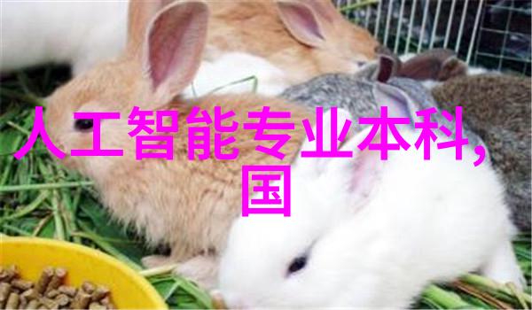 化工固体药品检测技术与策略的创新研究与实践探究