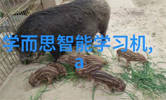 皇帝的怒火探寻一位君主的情绪变化
