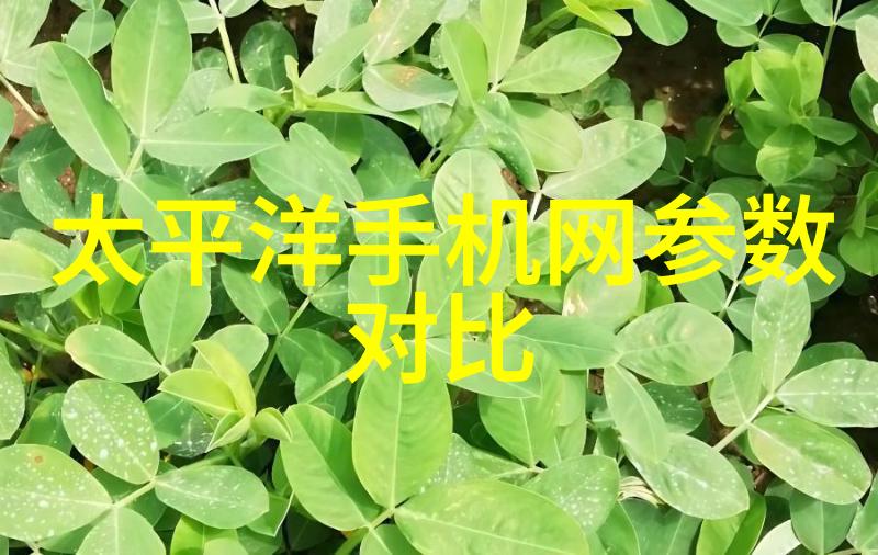 软化水处理设备去除硬度离子净化生活水质