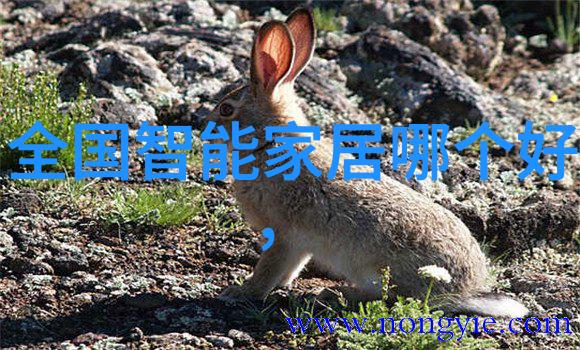 水质ph测定国家标准-确保清澈深入解读中国最新的水质pH测定国家标准