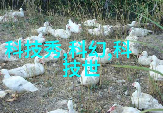 环保材料探索规整波纹板填料的环保优势和应用实例