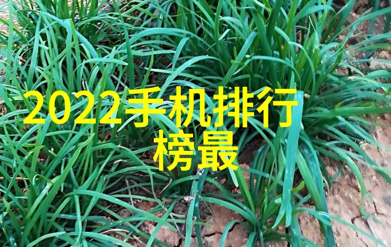高压反应如何预防釜内爆炸