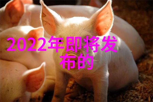 国脉测评隐匿中的数据之眼