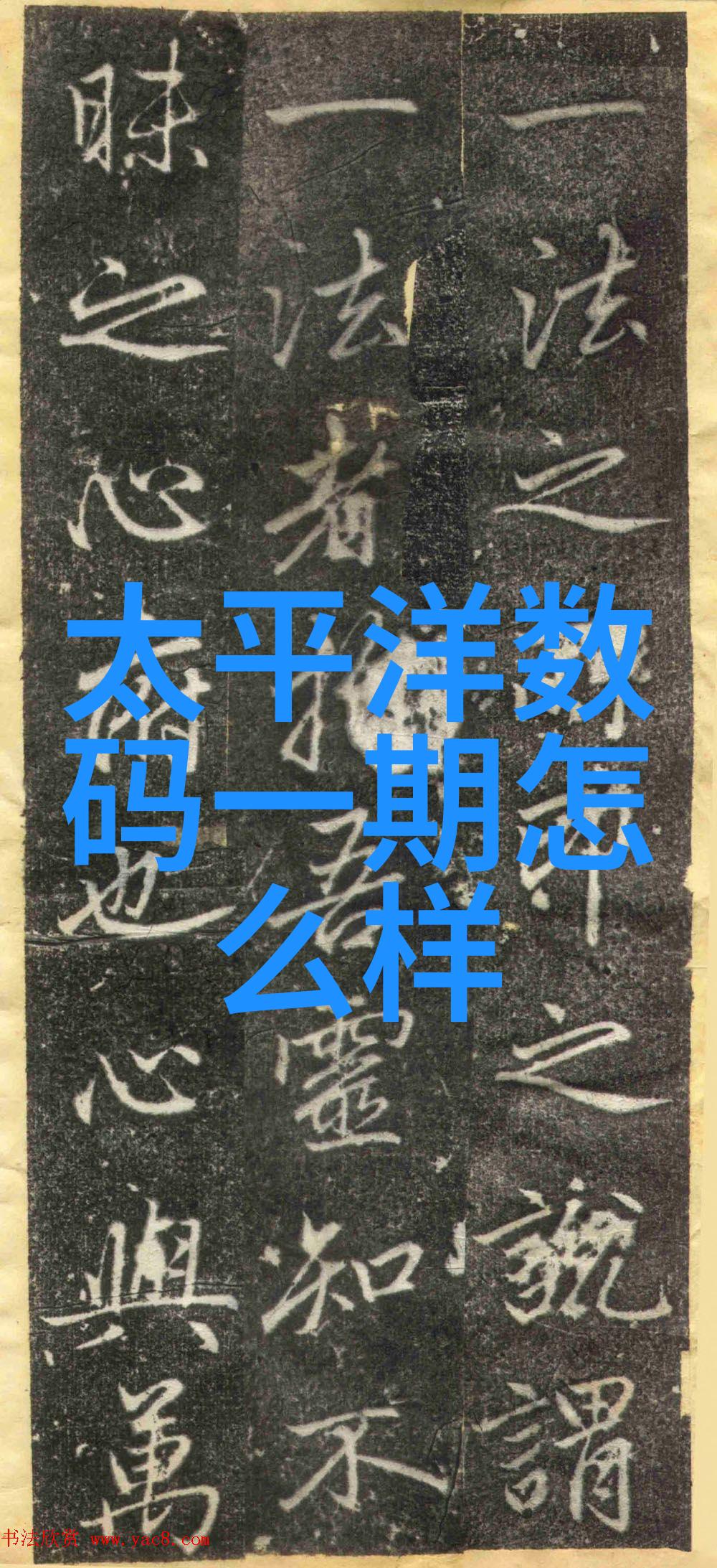 岁月倒影警笛穿心
