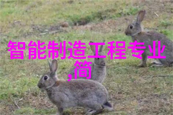 解锁梦想之家深度探究买房贷款的种类条件与申请技巧