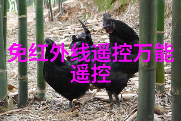 电热油浴式灭杀设备温柔与力量并重保障食品质量