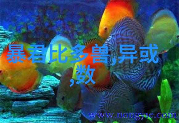 工业明胶从污染源到清洁宝石的奇妙逆袭