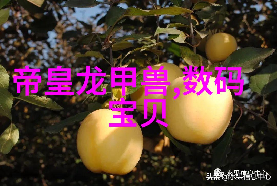 学长C一次视频总结如何从做错题中学习成长