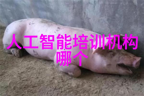 实验室设备有限公司精准科技助力科研进步