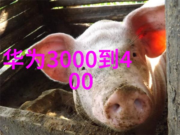 主题我是如何学会pe法兰接头与pe管连接的